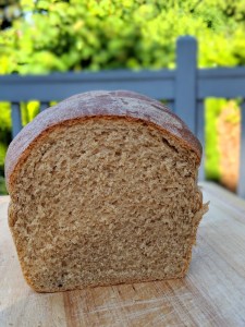 00100dPORTRAIT_00100_BURST20180602173101077_COVER